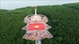 Ca Mau raises record 2,025 sq m flag on Viet Nam’s National Day
